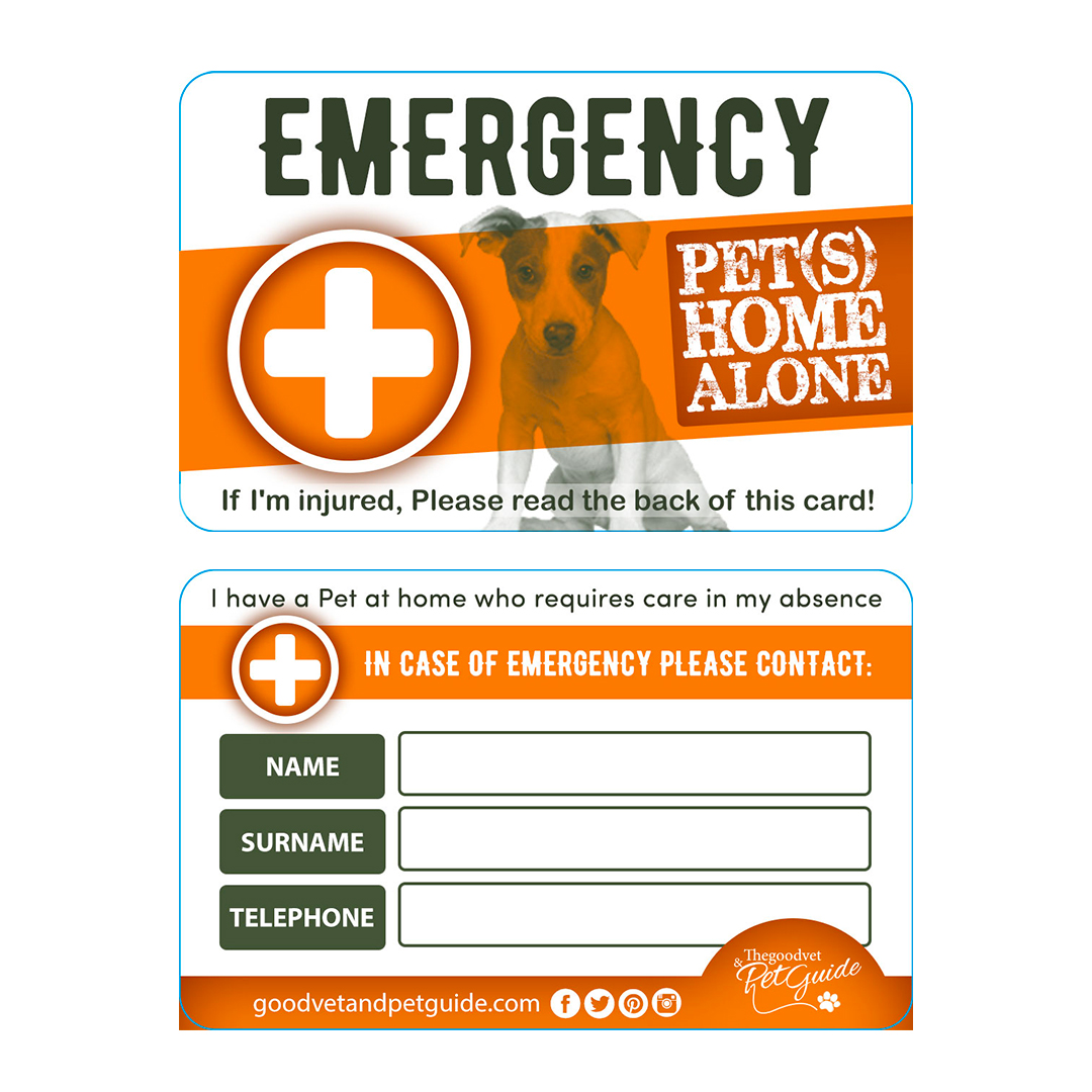 ICE-CARD
