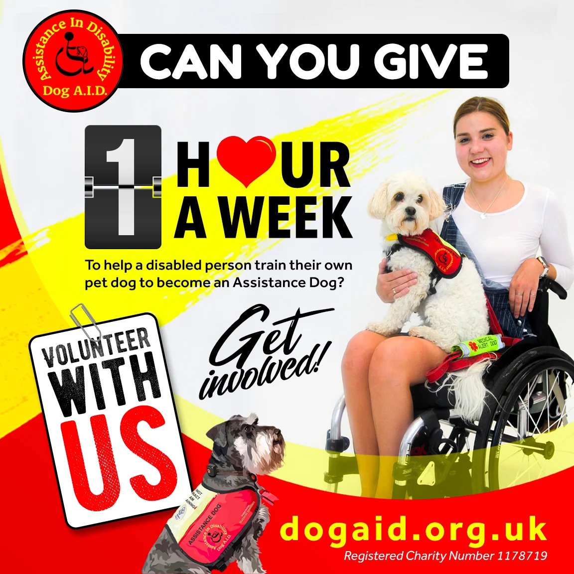 DOG-AID-SOCIAL-2