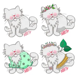 MOET-ILLUSTRATIONS1