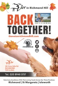 THE-VET-POSTER3web