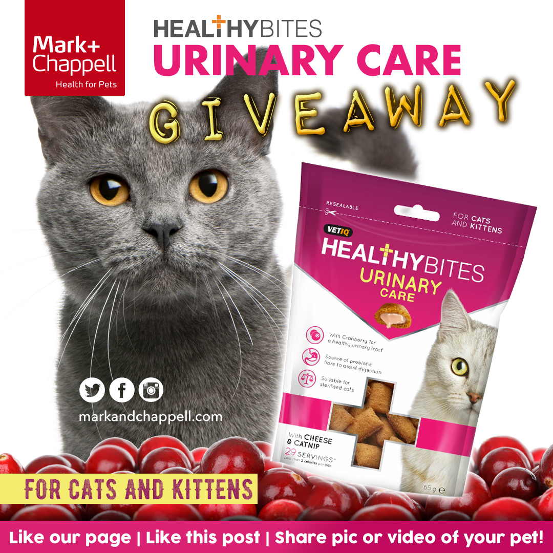 URINARY-CARE-CAT-TREATS